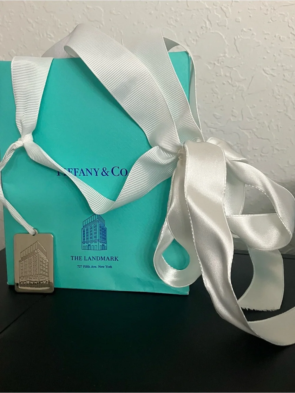 Tiffany & Co. Silver Earrings w/All Original Packaging